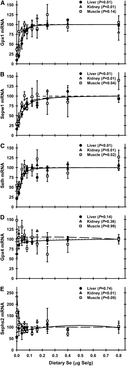 FIGURE 3 