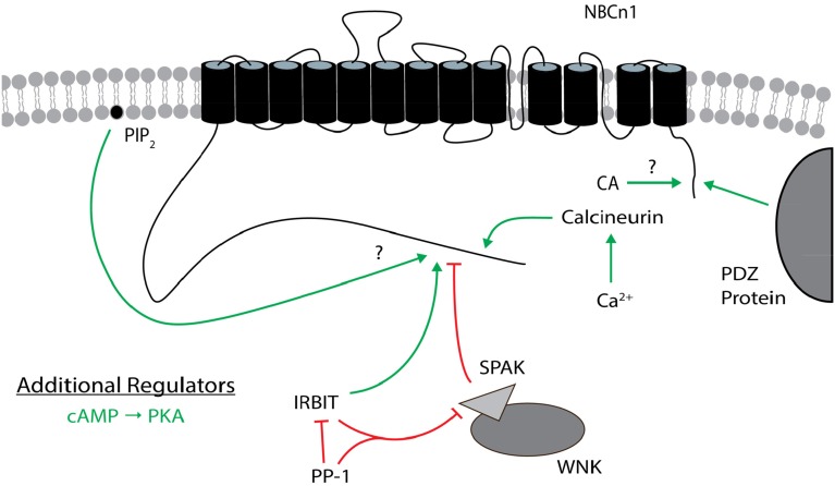 Figure 7