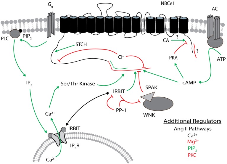 Figure 5