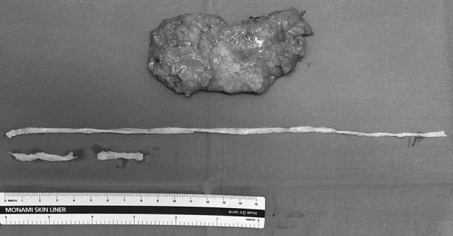 Fig. 4