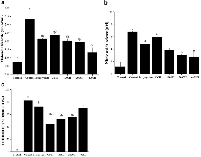 Figure 13