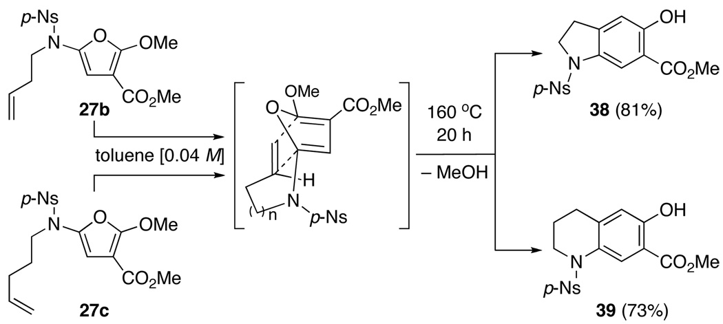 Scheme 5