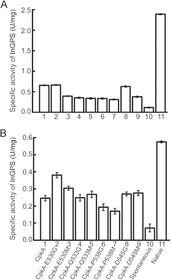 FIG 4