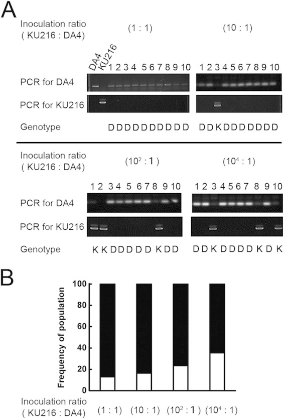 FIG 6