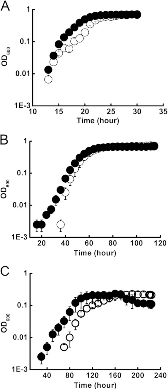 FIG 5