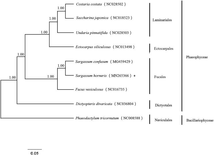 Figure 1.