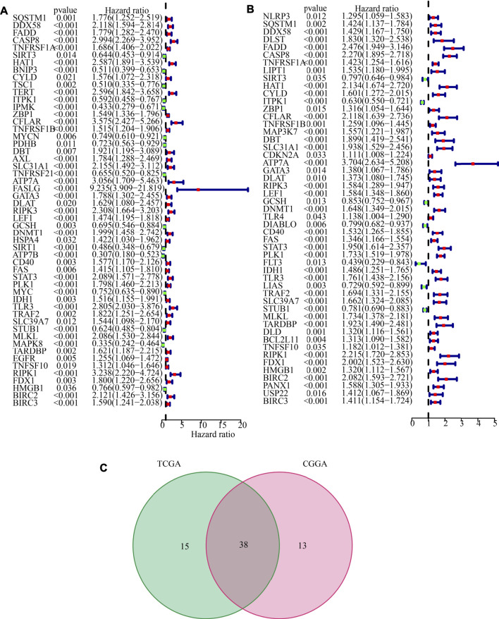 FIGURE 3