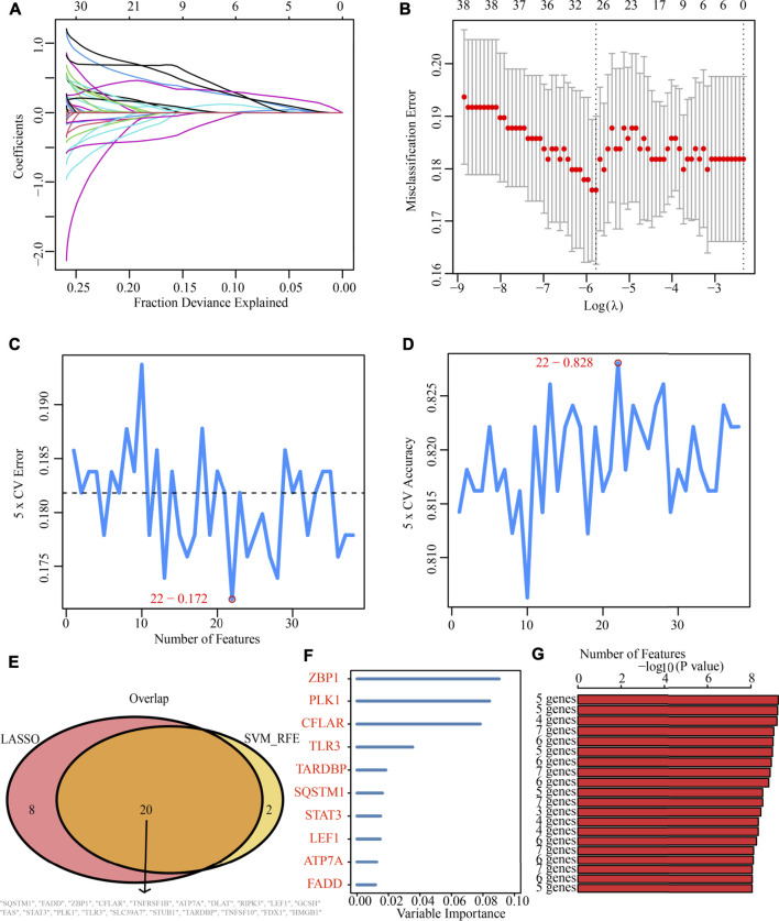 FIGURE 6