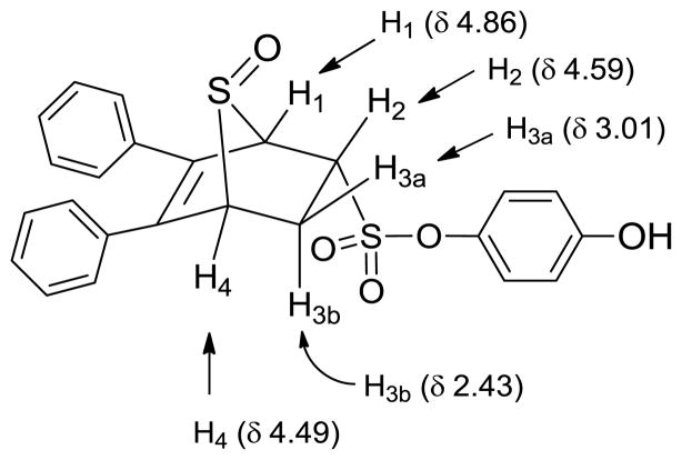 Scheme 5