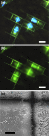 Fig. 4
