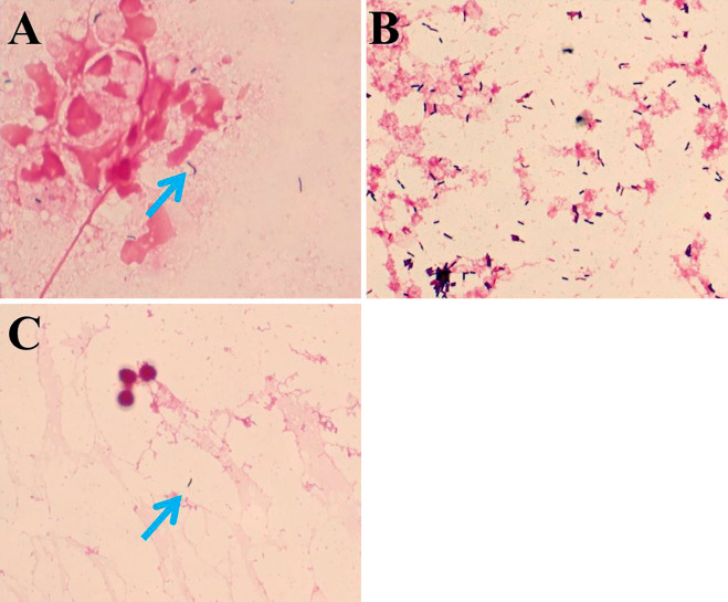 Figure 2.