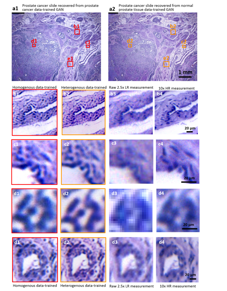 Fig. 9