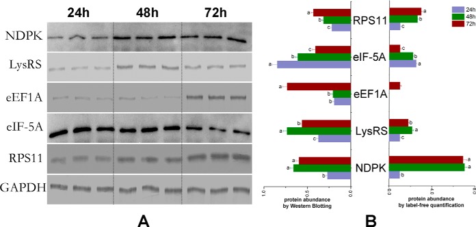 Fig. 9.