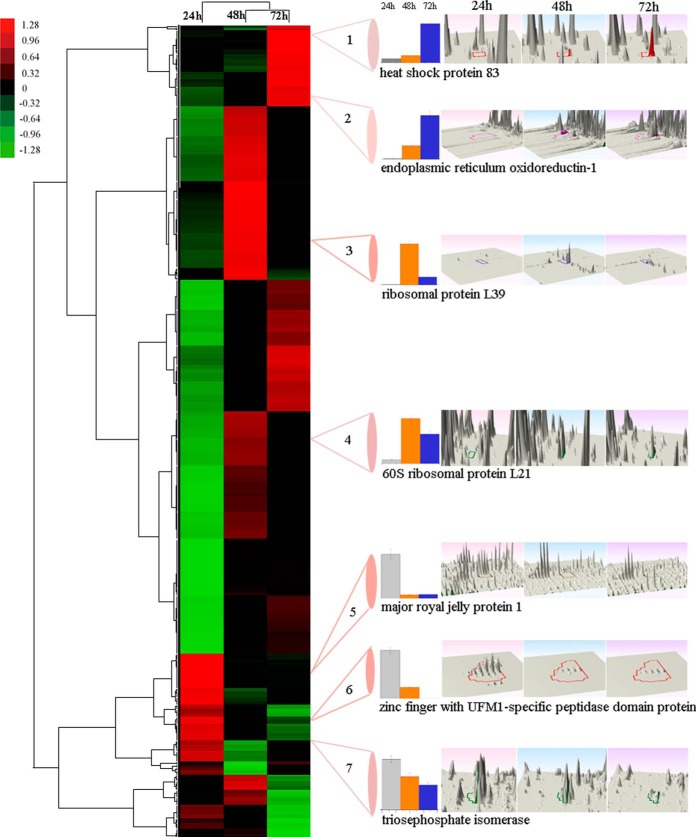 Fig. 6.