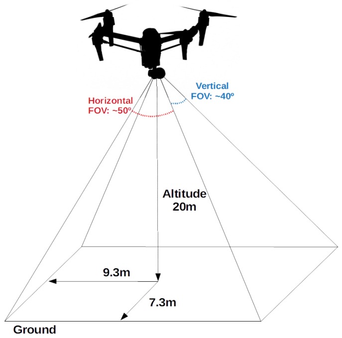 Figure 14