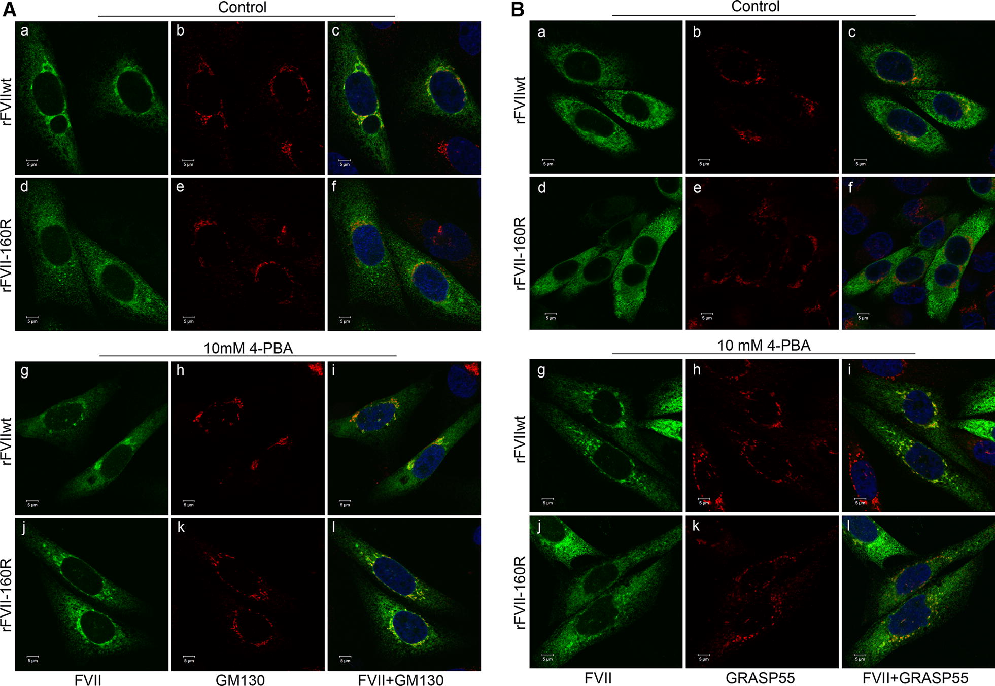 Fig. 4