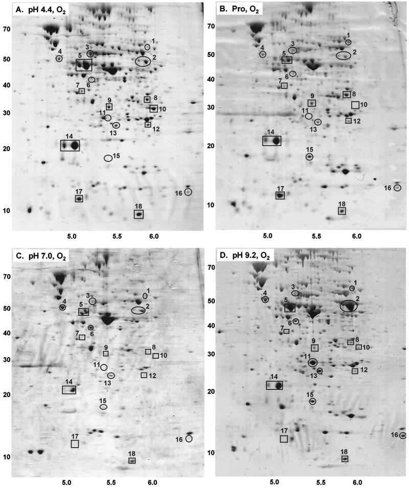 FIG. 1