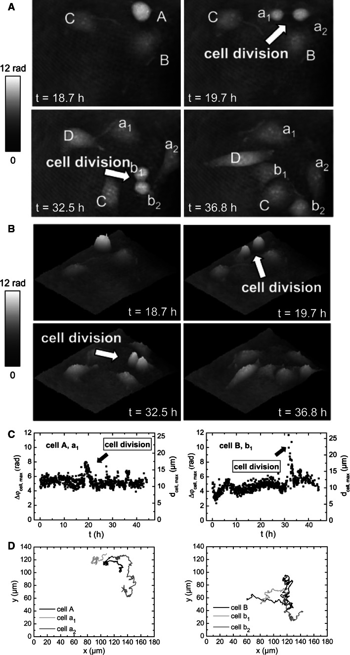 Fig. 3