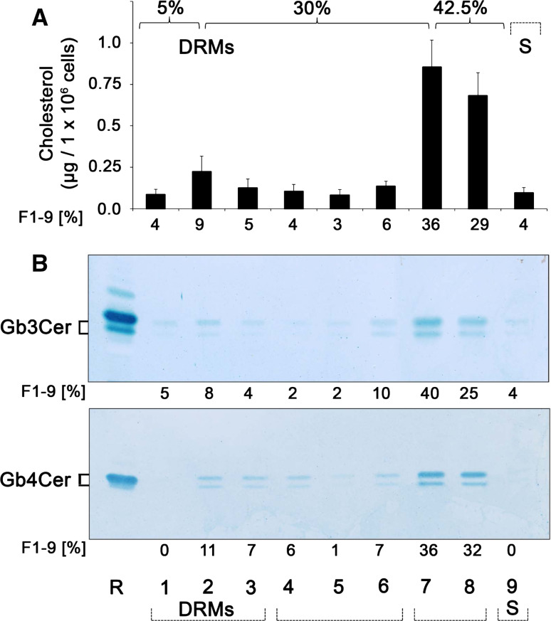 Fig. 10