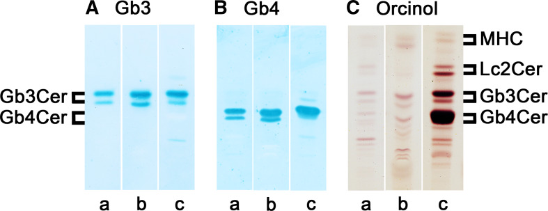 Fig. 6