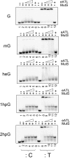 Fig. 4.