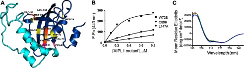 FIGURE 5.