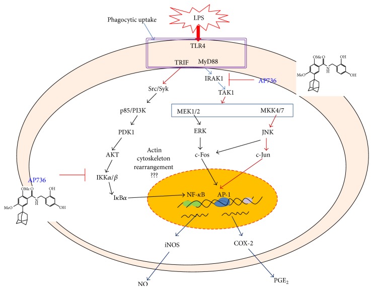 Figure 6