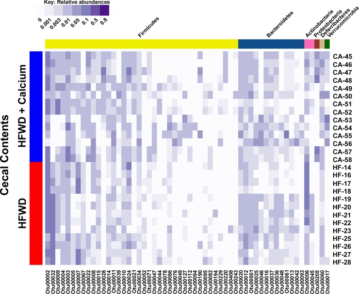 Fig 5