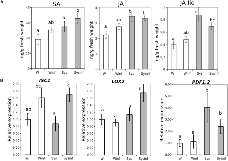 FIGURE 4