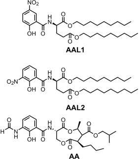 Fig. 2