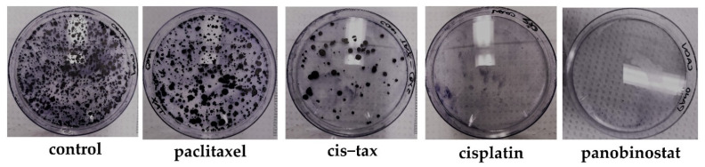 Figure 11