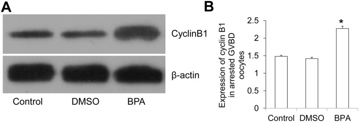 Figure 11.