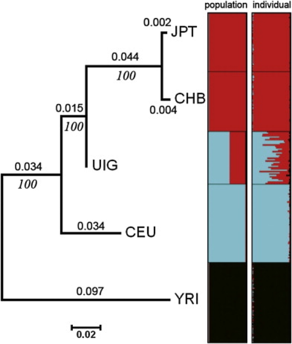 Figure 4