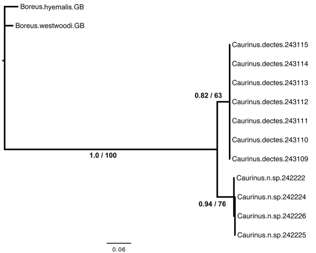 Figure 3.