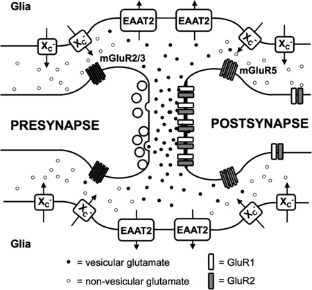 graphic file with name nihms720502f5.jpg