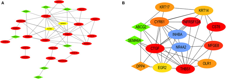 FIGURE 5