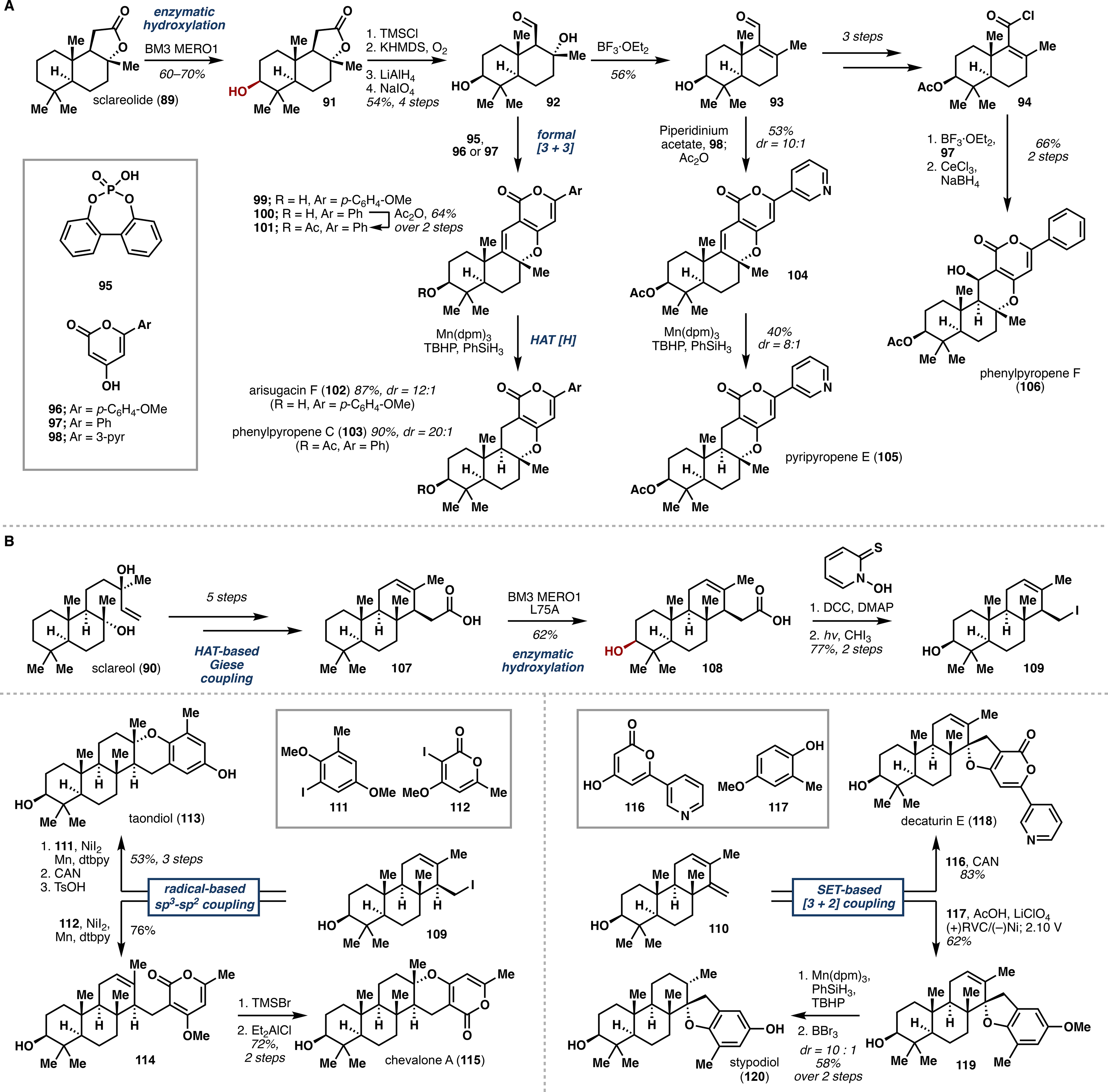 Scheme 3.