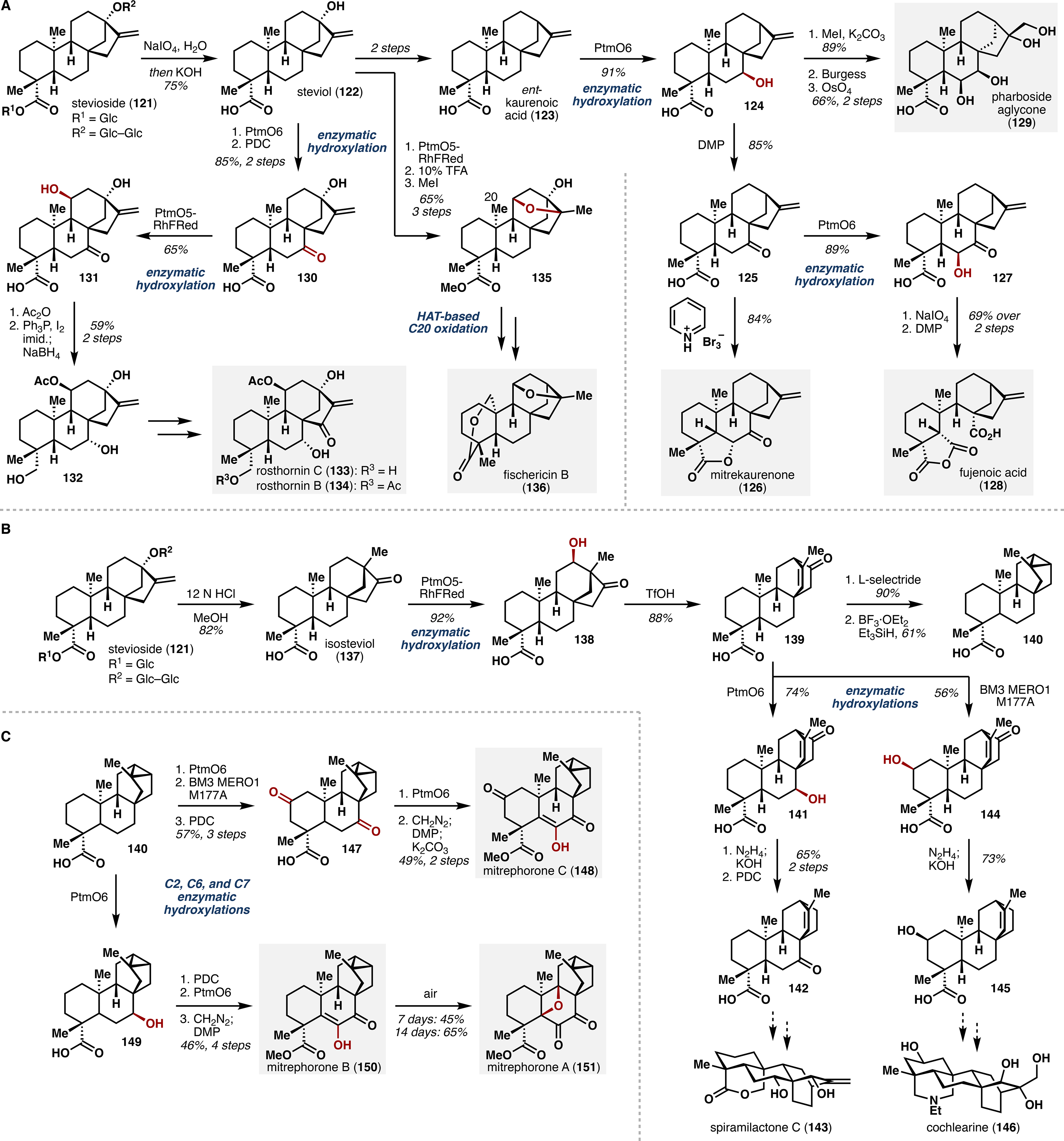 Scheme 4.