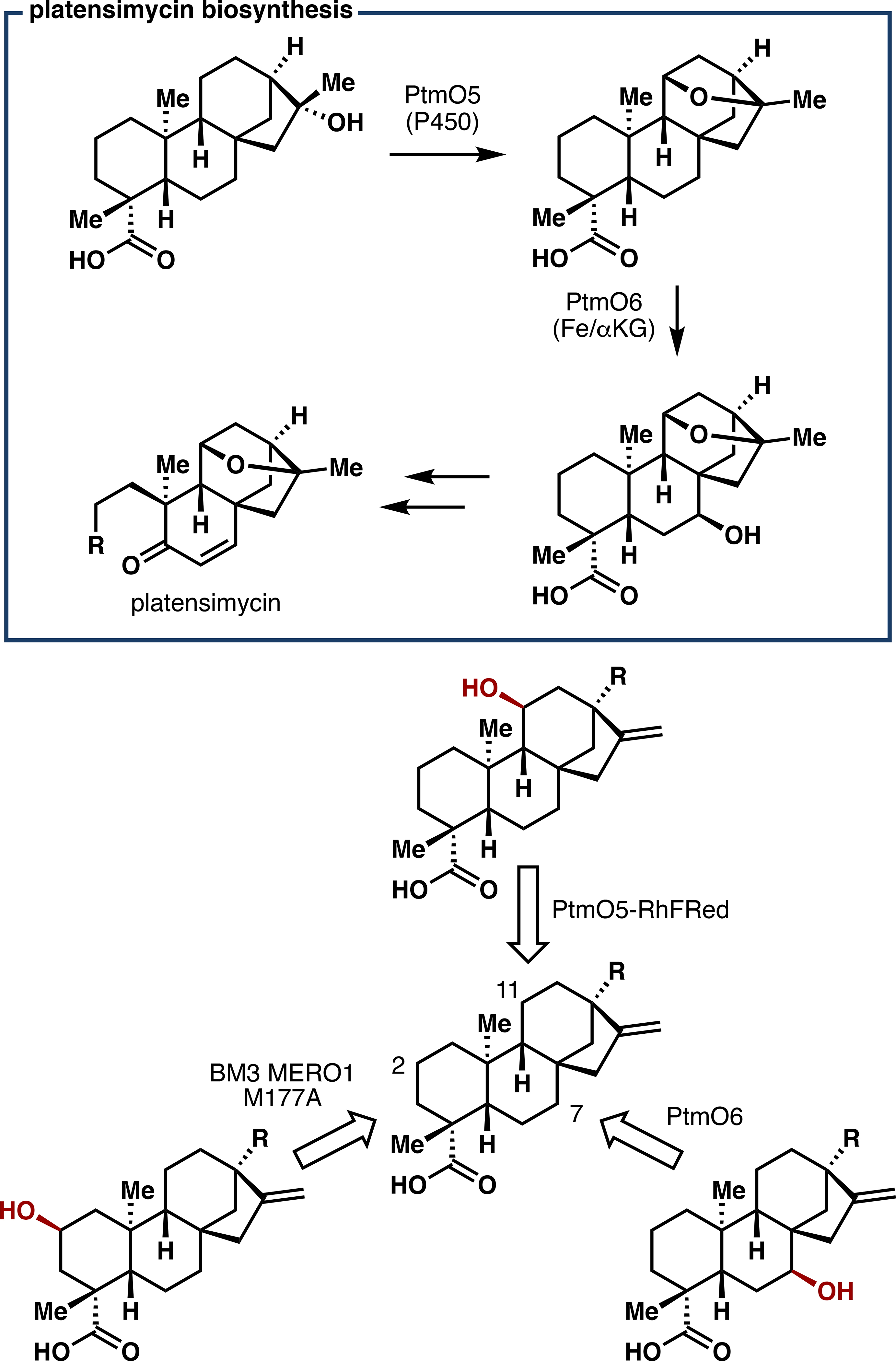 Figure 7.