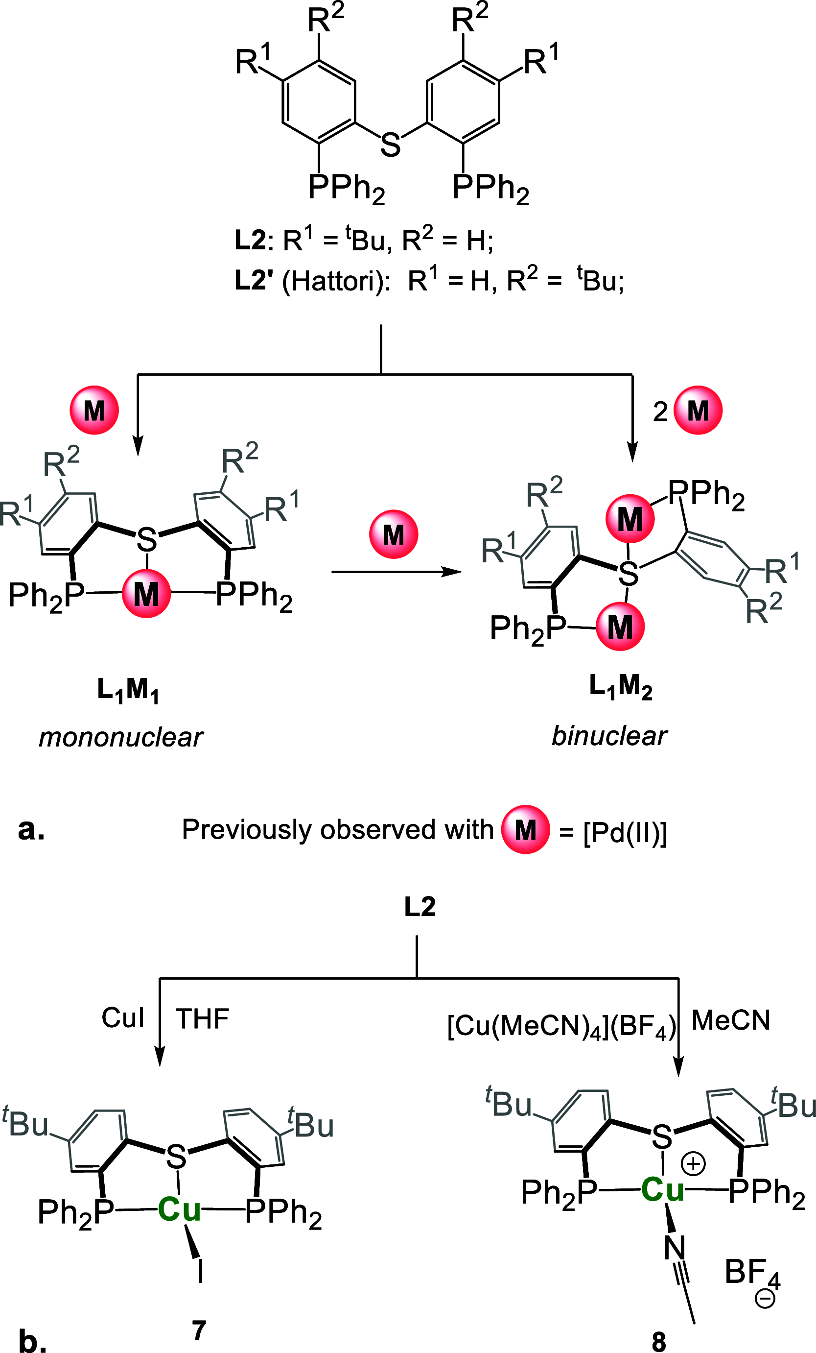 Scheme 3