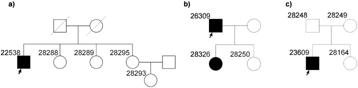 Fig 6