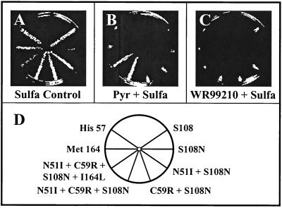 FIG. 6