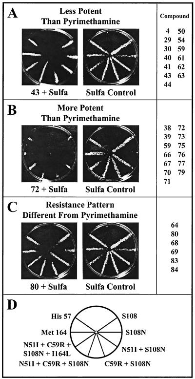 FIG. 7