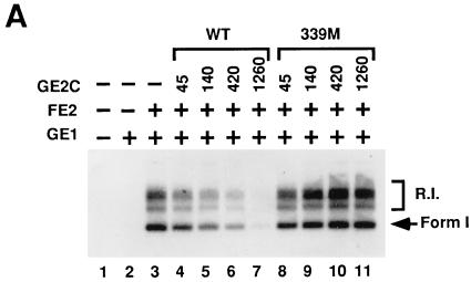 FIG. 5