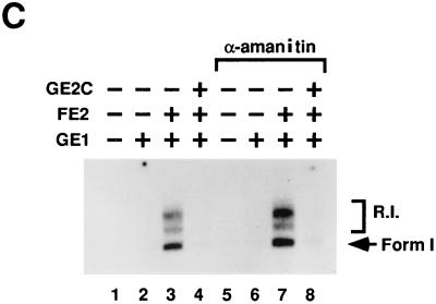 FIG. 5