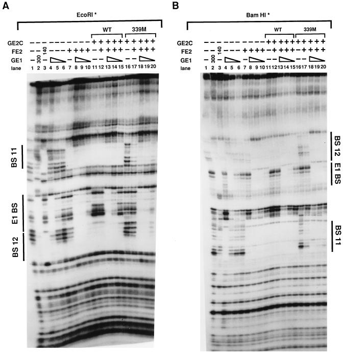 FIG. 6