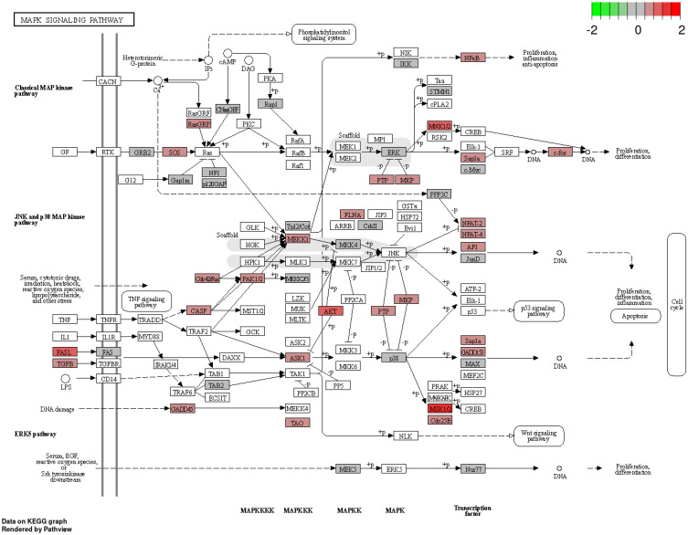 Figure 17