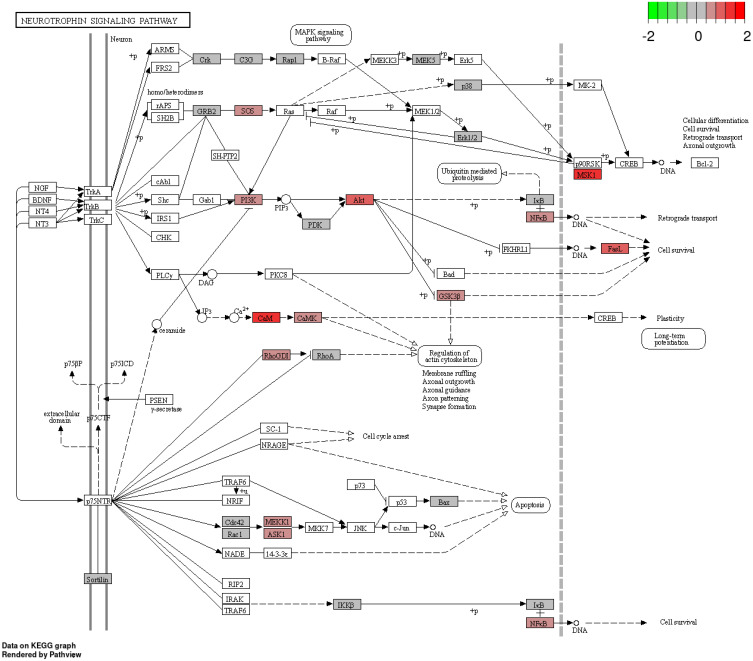 Figure 21