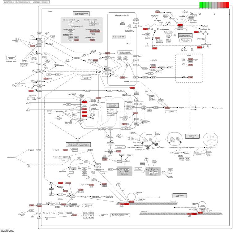 Figure 22