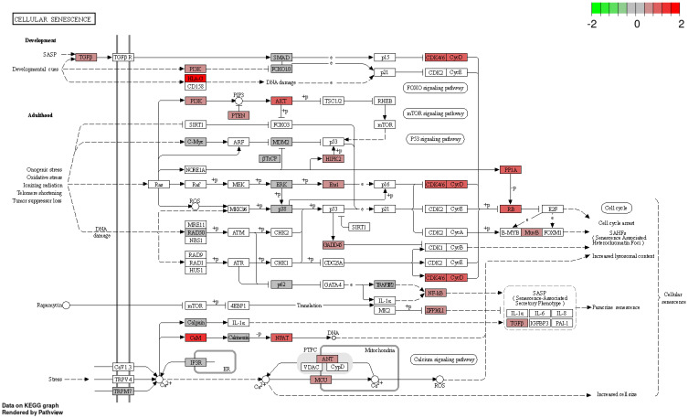 Figure 20